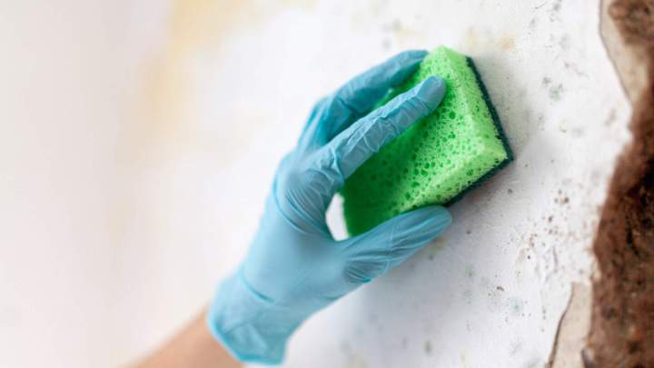 Entreprise de traitement humidité Île-de-France