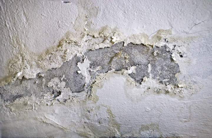 Moisissure sur les murs et écaillage de peinture Levallois-Perret