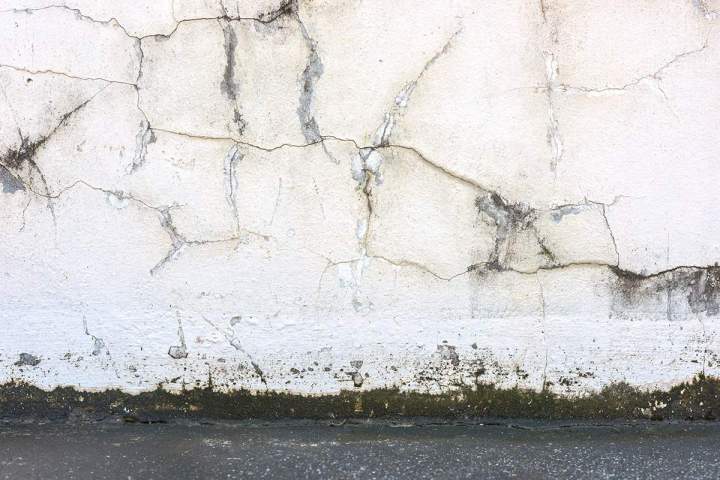 Élimination moisissure mur Île-de-France