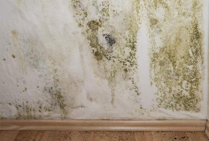 Traitement salpêtre Île-de-France