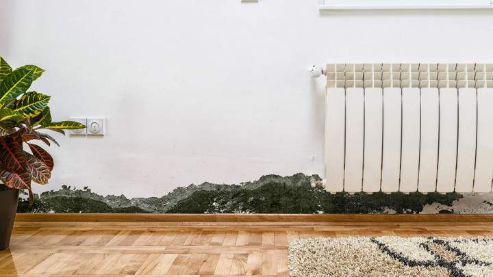 Moisissure intérieure mur Île-de-France