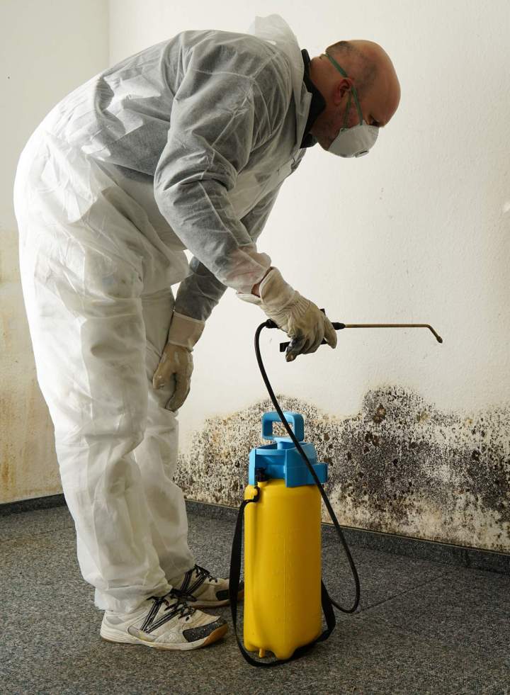 Solution moisissure mur Île-de-France